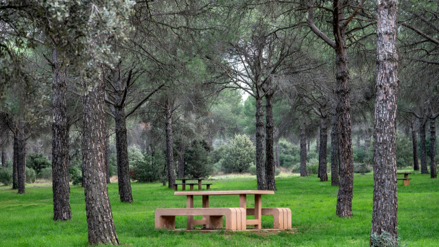 Ruta Cerro de Cantohincado