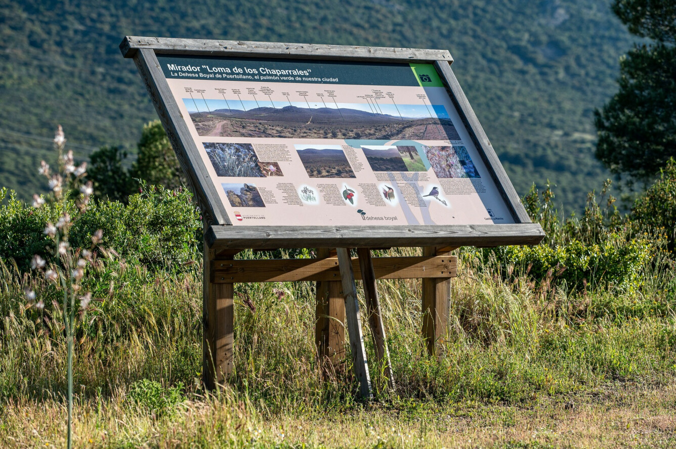 Route Cerro de las Pilas