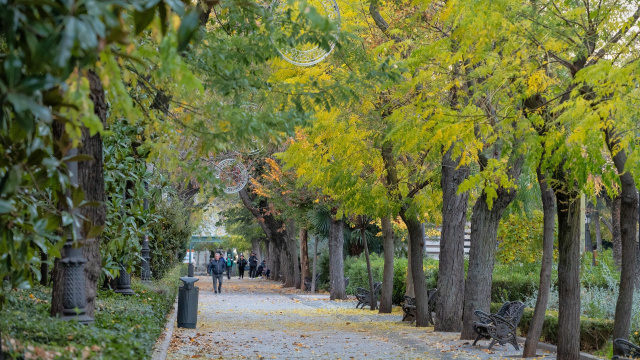 Experiencias Urbanas