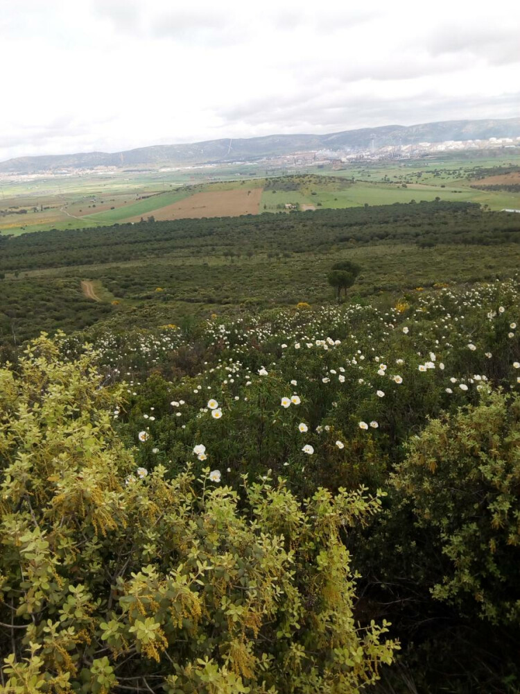 Route Collado las Ollas de las Vacas