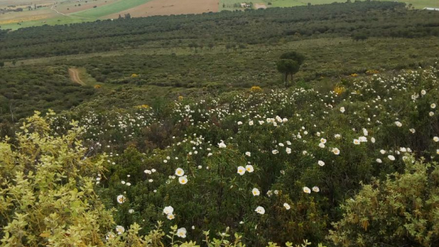 Ruta Collado de las Ollas de las Vacas