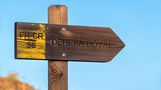 Los 8 Imprescindibles