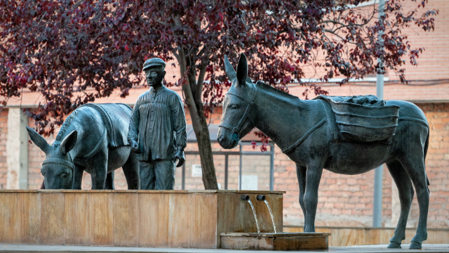 Pilancón de los Burros